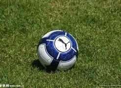 杭州亚运电,竞盛况,炉石传说项,易倍体育平台,易倍体育官方网站,易倍体育登录入口,易倍体育app下载