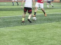 德阳球迷齐,声呐喊,主队成功晋,易倍体育平台,易倍体育官方网站,易倍体育登录入口,易倍体育app下载