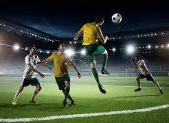 张掖娃娃菜,推动,甘味,易倍体育平台,易倍体育官方网站,易倍体育登录入口,易倍体育app下载