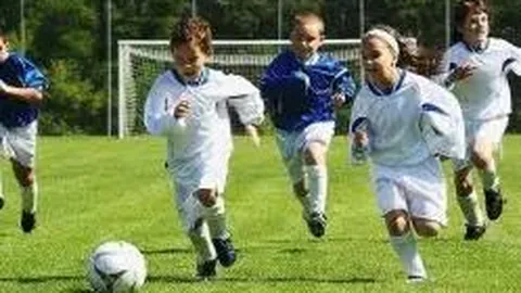 四川前副省长、前公安厅长叶寒冰遭开除党籍和公职