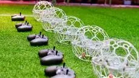 易倍体育 资讯 101322 jmw