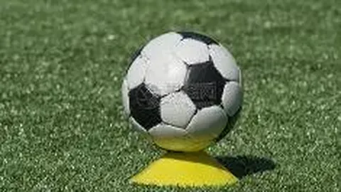 易倍体育 资讯 102621 5dy